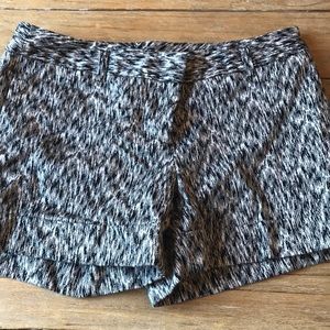 Express Dressy Shorts